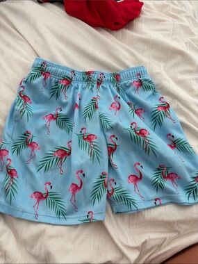 Kids Light Blue Flamingo Print Swim Shorts